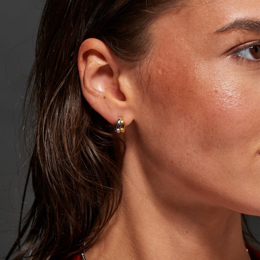 Hot Diamonds Droplet Two Tone Earrings DE872 model