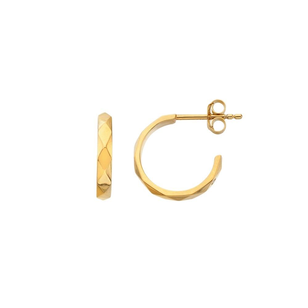 Hot Diamonds X Golden Edit Harlequin Earrings DE883 SIDE