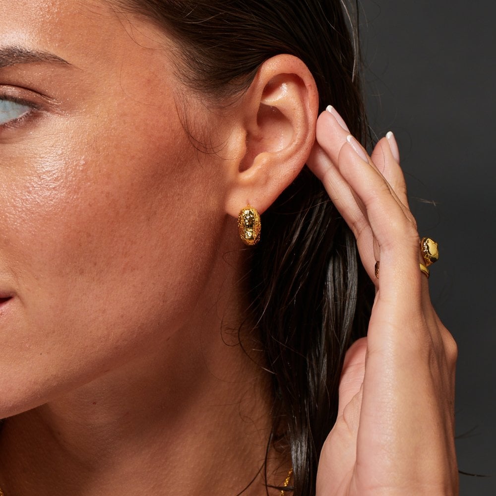 Hot Diamonds HD X Golden Edit Muse Earrings DE849 lifestyle
