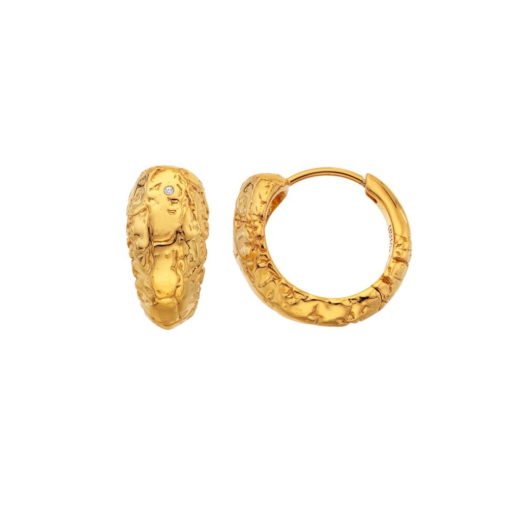 Hot Diamonds HD X Golden Edit Muse Earrings DE849 side