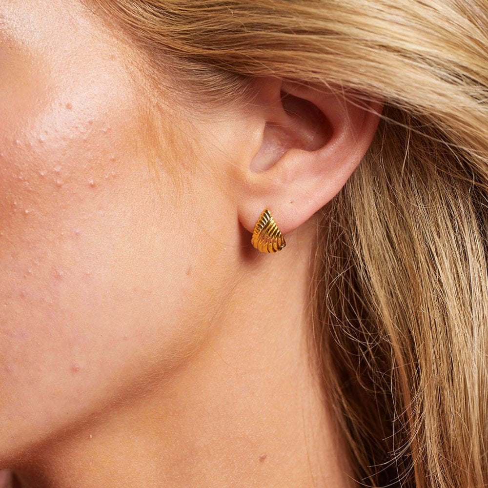 Hot Diamonds HD X Golden Edit Paris Stud Earrings DE839 model