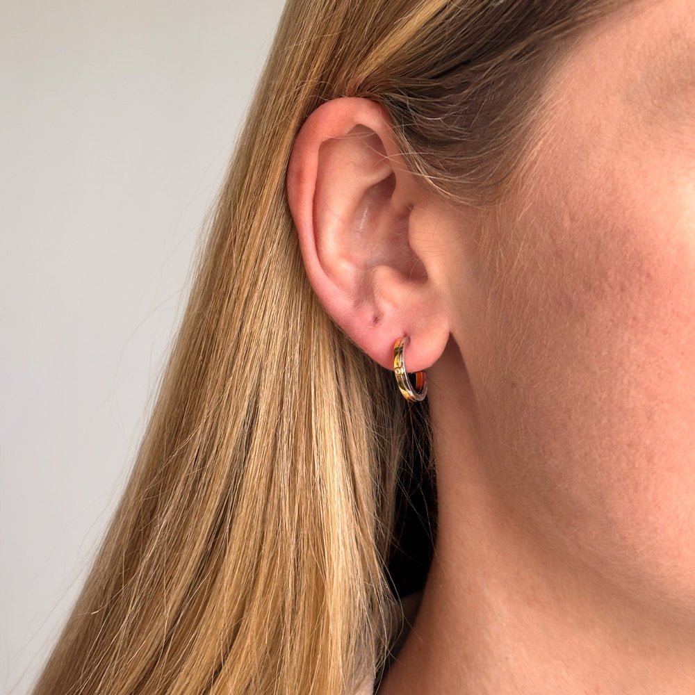Hot Diamonds Parellel Two Tone Earrings DE863 model