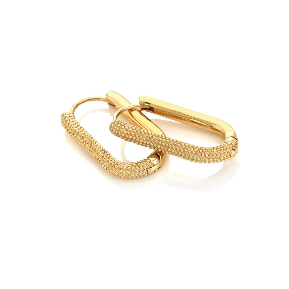 Ava & Sky Icon Carabiner Earrings ASE0011