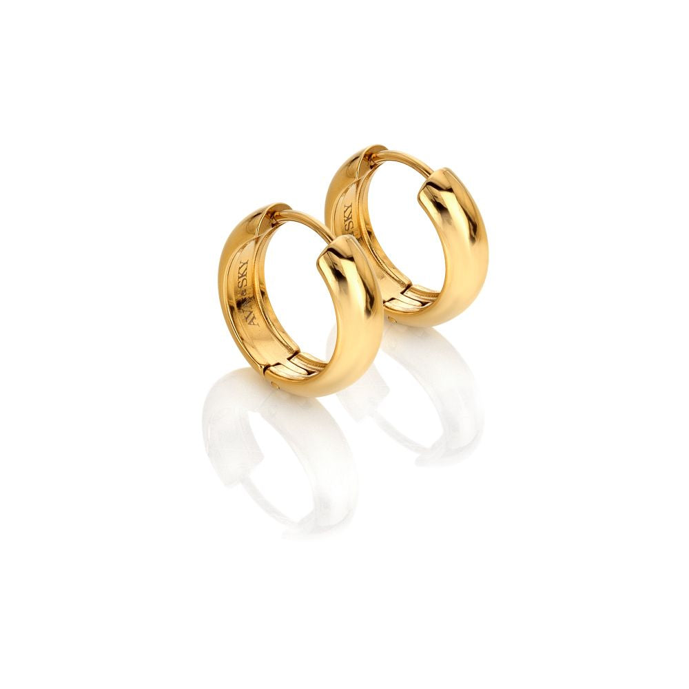 Ava & Sky Chubby Hoop Earrings ASE0017