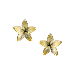 9ct Yellow Gold Star Light Earrings by Amore 8671Y