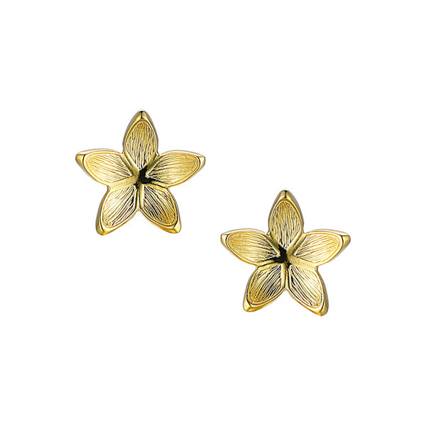 9ct Yellow Gold Star Light Earrings by Amore 8671Y