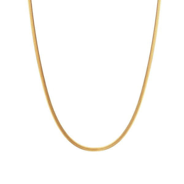 Hot Diamonds X Jac Jossa Embrace Oval Snake Chain CH101