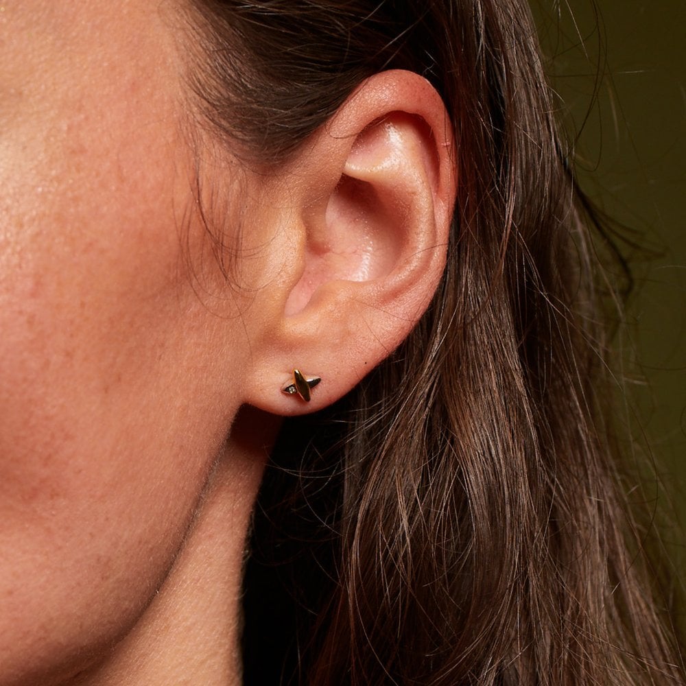 Hot Diamonds Coupled Two Tone Stud Earrings DE859 model