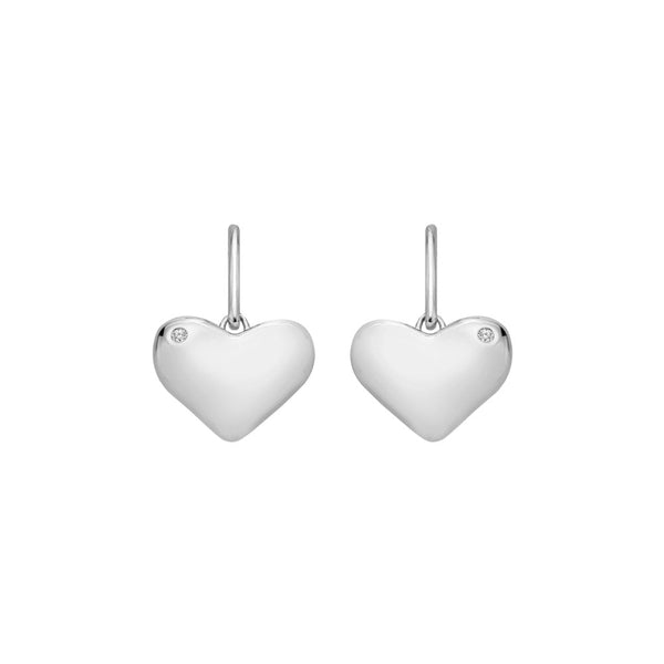 Hot Diamonds Desire Hook Earrings DE780