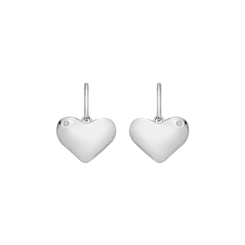 Hot Diamonds Desire Hook Earrings DE780