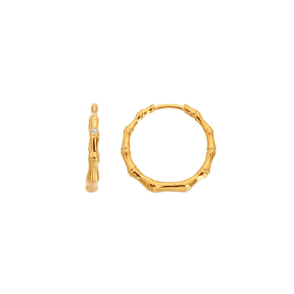 Hot Diamonds HD X Golden Edit Bondi Earrings DE842