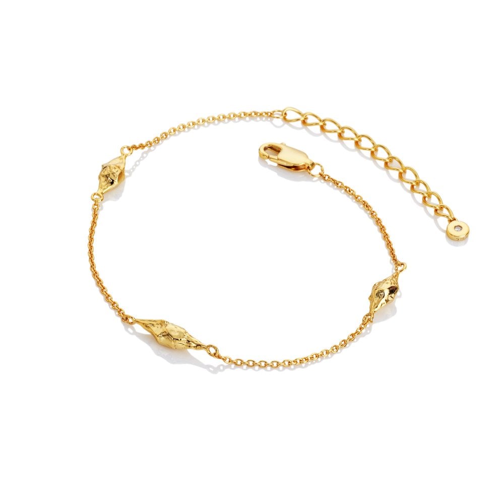 Hot Diamonds X Golden Edit Muse Bracelet DL711