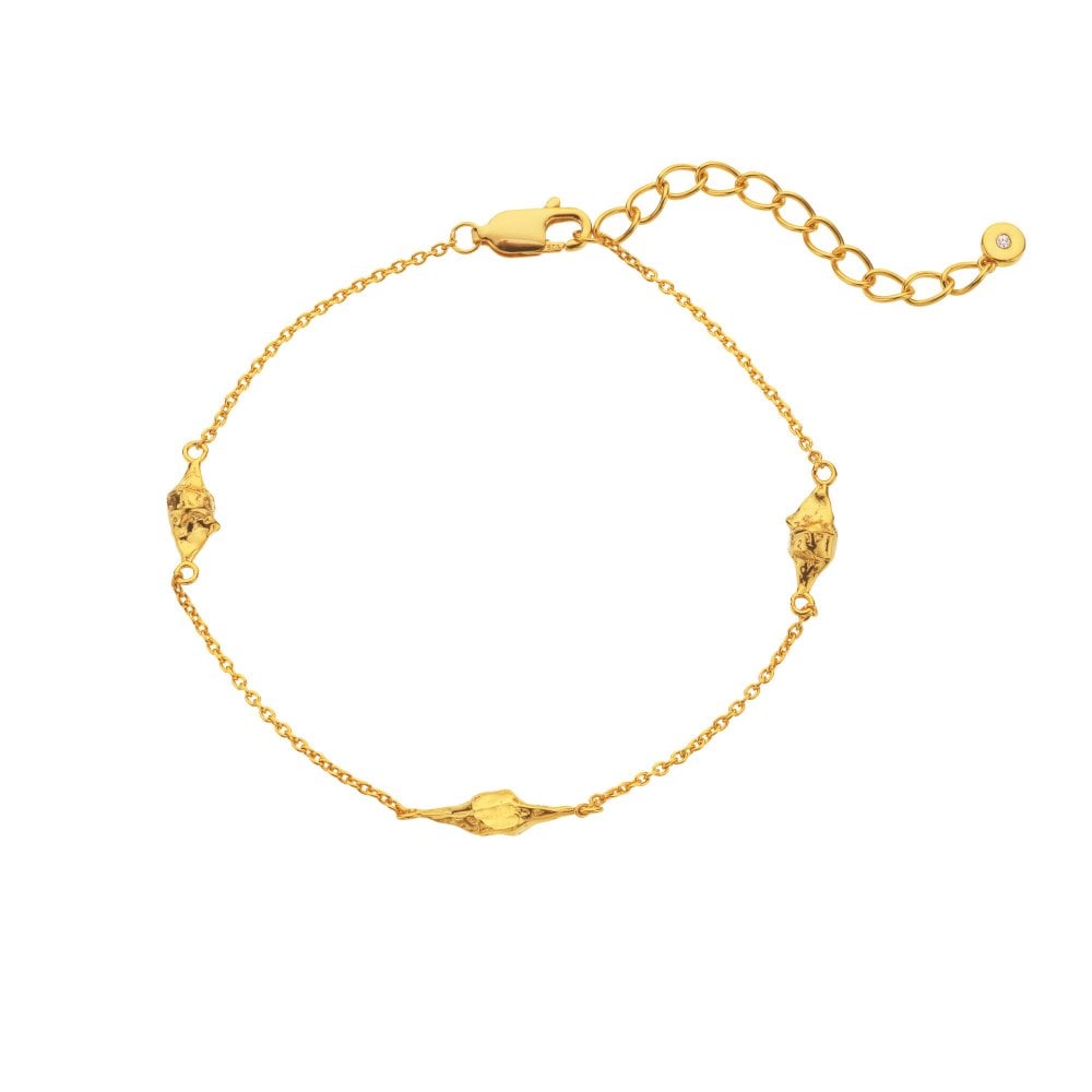 Hot Diamonds X Golden Edit Muse Bracelet DL711