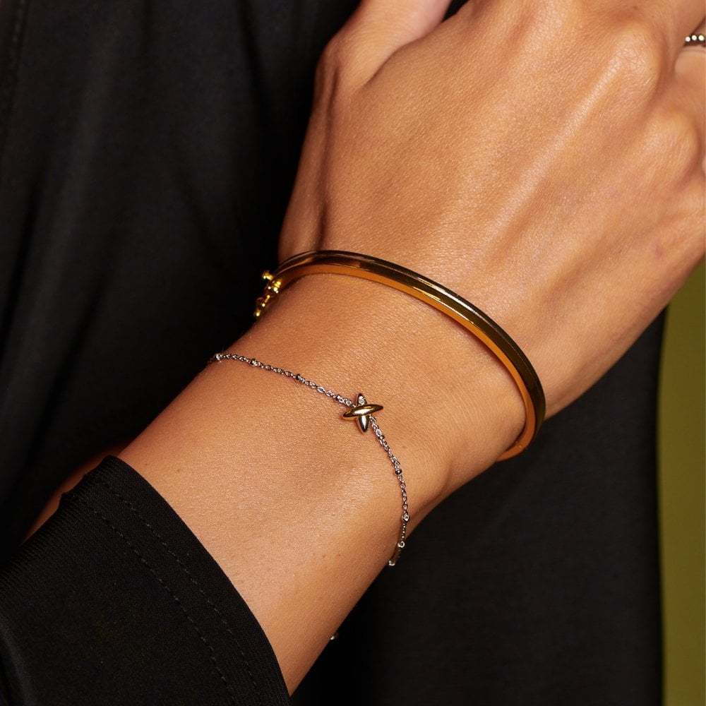 Hot Diamonds Parellel Two Tone Bangle DC226 model shot