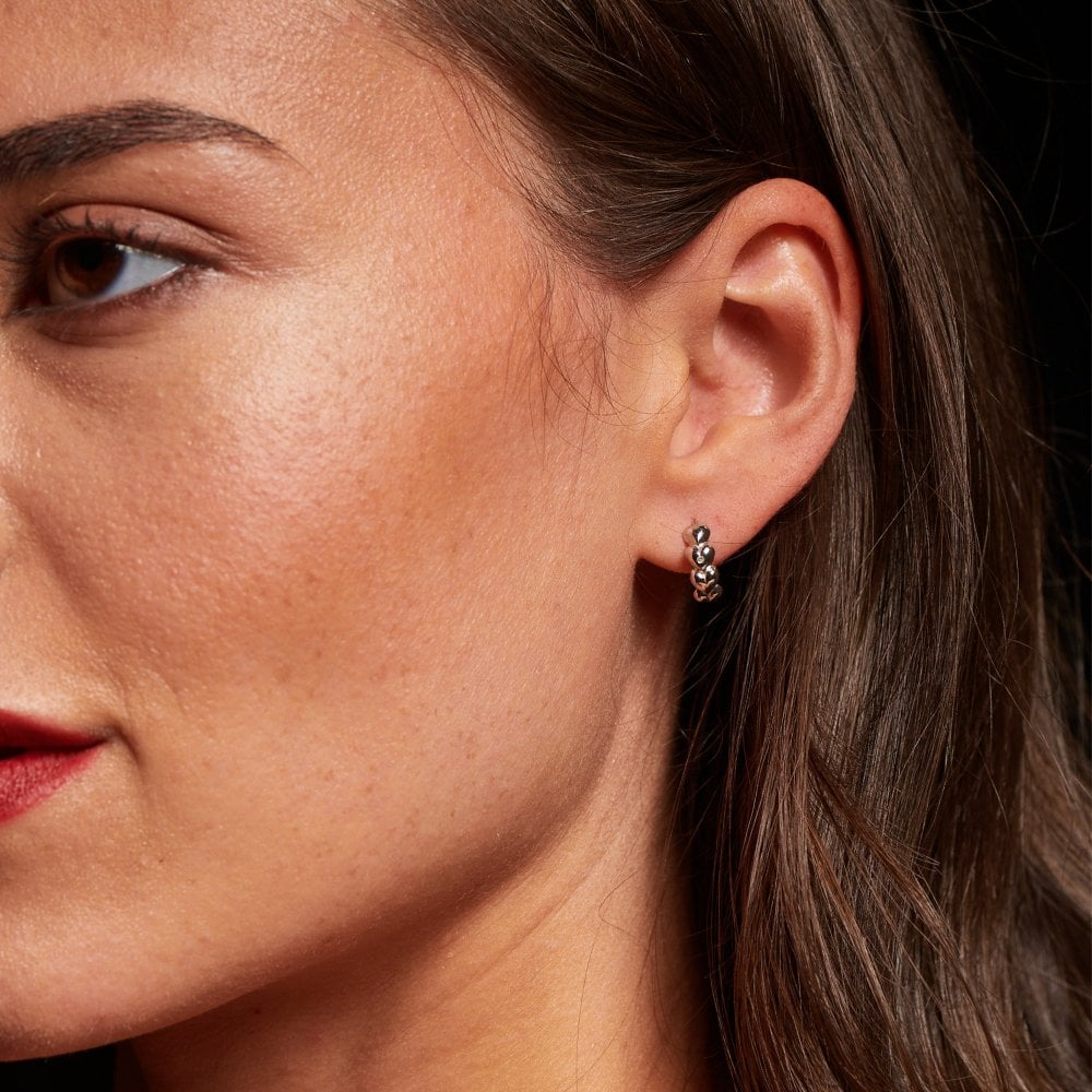 Hot Diamonds Serenity Heart Earrings DE867 model