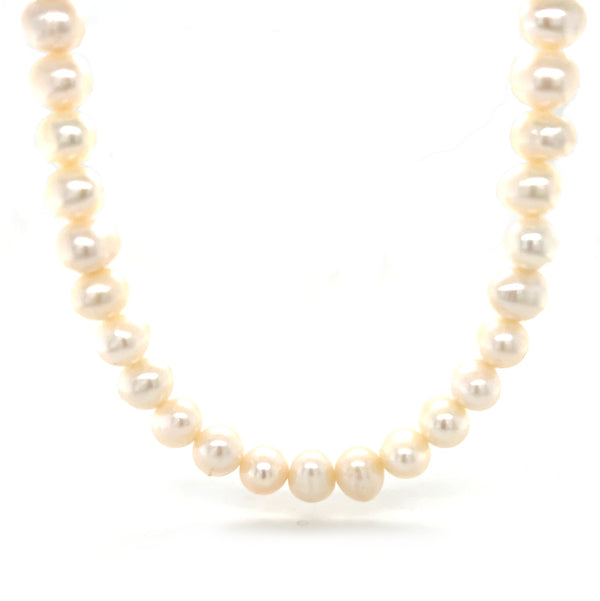 Cultured Freshwater Pearls 7-8mm Silver Clasp