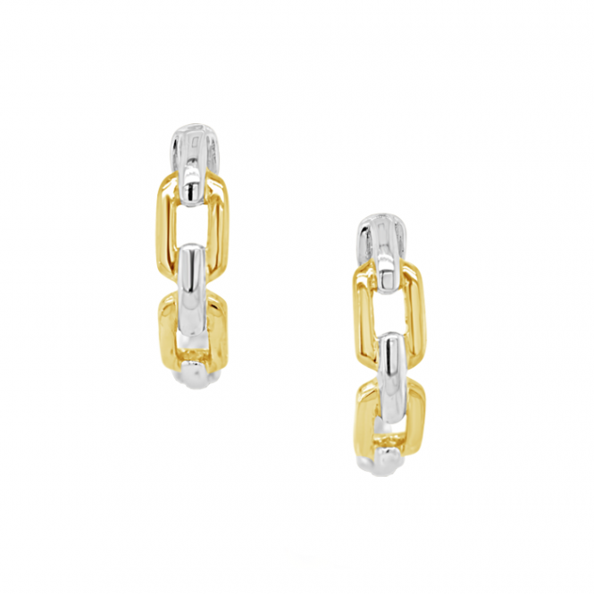 9ct Yellow & White Gold Honey Earrings by Amore  6954WY