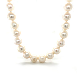 Cultured Freshwater Pearls 10-11mm 9ct Gold