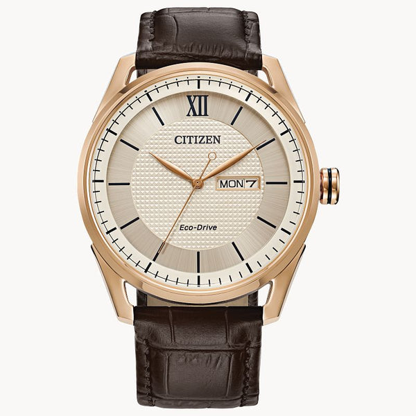 Citizen Mens Eco Drive Classic Strap Watch AW10082-01A