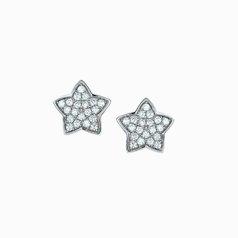 The Real Effect Star Earrings RE31554
