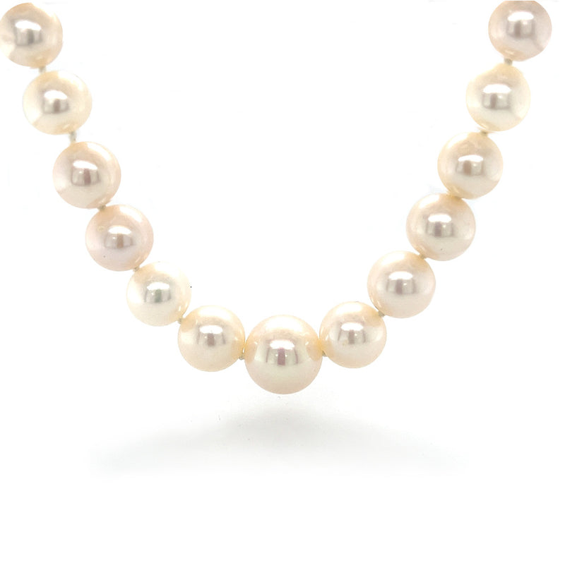 Large Round Graduated Cultured Fresh Water Pearl Necklace